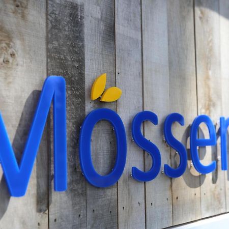 Moessems 호텔 데네캄프 외부 사진